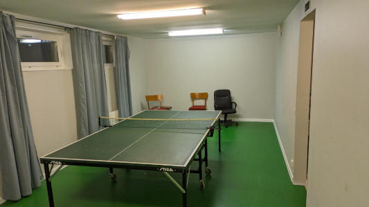 bordtennis-1