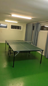 bordtennis-2
