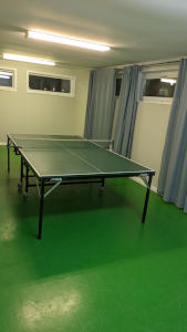 bordtennis-3